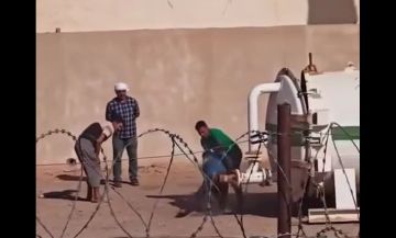 الجزائر.. القبض على شخص مارس التعذيب وأثار استنكارا كبيرا في حاسي مسعود (فيديو) الجزائر.. القبض على شخص مارس التعذيب وأثار استنكارا كبيرا في حاسي مسعود (فيديو)