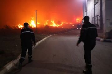 الجزائر تكافح حرائق متزامنة طالت غابات في البلاد، وسط مطالب بفتح تحقيق الجزائر تكافح حرائق متزامنة طالت غابات في البلاد، وسط مطالب بفتح تحقيق