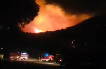 حرائق غابات ضخمة تهدد حياة سكان ولاية جزائرية وتحرك عاجل من السلطات (فيديو)