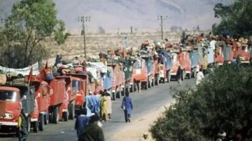 50 عاما على المسيرة الخضراء في المغرب: بين الذاكرة الوطنية وتحديات الحل السياسي