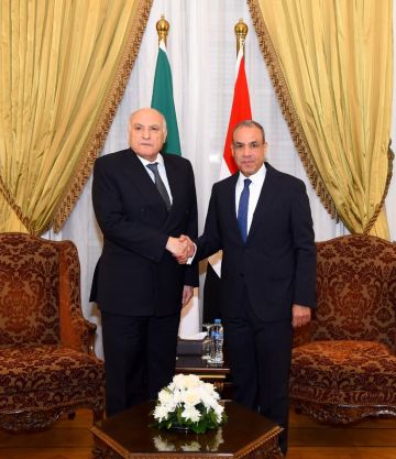 مصر والجزائر تعلنان رفضهما أي تدخلات خارجية في الدول الإفريقية