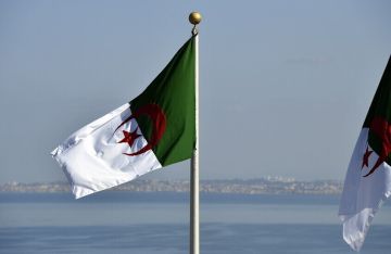 الجزائر.. حركة مجتمع السلم تعلق على رفع التحفظ عن الفقرة الرابعة من المادة 15 من اتفاقية سيداو الجزائر.. حركة مجتمع السلم تعلق على رفع التحفظ عن الفقرة الرابعة من المادة 15 من اتفاقية سيداو