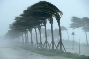 الجزائر تغلق أغلب مدارسها ليومين بسبب الرياح القوية