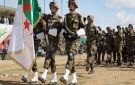 مجلس الأمة الجزائري يوافق بالإجماع على إرسال وحدة عسكرية إلى النيجر