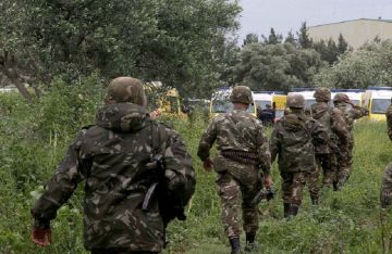 الجيش الجزائري يحبط محاولة ترويج نحو 50 كلغ من الكوكايين