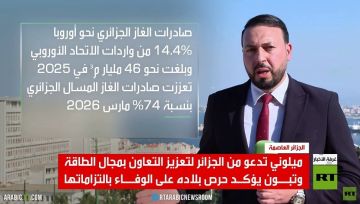 ميلوني بالجزائر.. البحث عن طوق نجاة