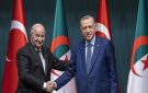 تبون وأردوغان يتبادلان تهاني عيد الأضحى ويبحثان تعزيز الشراكة الاستراتيجية