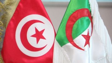 التلفزيون الرسمي التونسي يعتذر للجزائر بعد بثه خريطة مغلوطة (فيديو) التلفزيون الرسمي التونسي يعتذر للجزائر بعد بثه خريطة مغلوطة (فيديو)