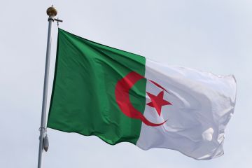 بدء تنفيذ الجزء الجزائري من مشروع أنبوب الغاز العابر للصحراء