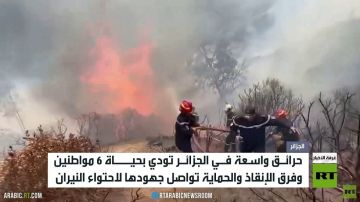 حرائق الجزائر تخلف 6 وفيات