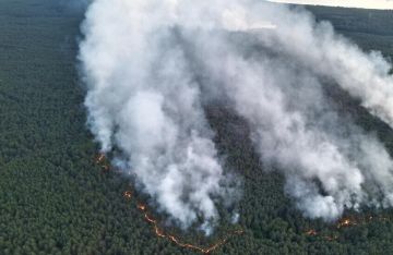 درجات الحرارة تؤجج النيران في الغابات الجزائرية درجات الحرارة تؤجج النيران في الغابات الجزائرية