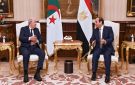 السيسي وتبون يشددان على حماية أمن الدول العربية وتعزيز التنسيق لمواجهة التحديات - dz