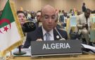 الجزائر تنضم إلى المهمة الإفريقية لإرساء السلام في جنوب السودان