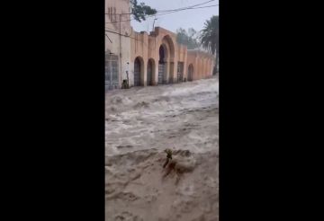 الجزائر.. فيضانات بعد عاصفة رعدية ضربت مدينة بوسعادة بولاية المسيلة (فيديو) الجزائر.. فيضانات بعد عاصفة رعدية ضربت مدينة بوسعادة بولاية المسيلة (فيديو)