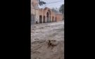 الجزائر.. فيضانات بعد عاصفة رعدية ضربت مدينة بوسعادة بولاية المسيلة (فيديو) - dz