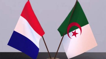 دراسة فرنسية: التوتر الدبلوماسي مع الجزائر يتسبب في إفلاس 600 شركة ويهدد الآلاف دراسة فرنسية: التوتر الدبلوماسي مع الجزائر يتسبب في إفلاس 600 شركة ويهدد الآلاف