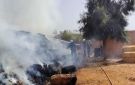 السلطات الجزائرية تعلن السيطرة التامة على جميع الحرائق المسجلة مؤخرا