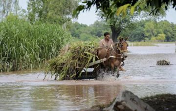 باكستان تحصل على موافقة من صندوق النقد الدولي على قروض باكستان تحصل على موافقة من صندوق النقد الدولي على قروض