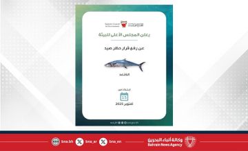 المجلس الأعلى للبيئة يعلن رفع الحظر عن صيد أسماك الكنعد اعتبارا من 15 أكتوبر