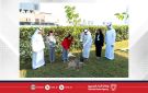  ممتلكات تشارك في أسبوع الشجرة تأكيدا على التزامها بالاستدامة وحماية البيئة - bh