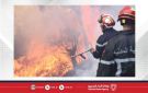 الجزائر: استمرار حرائق غابات تيبازة وجهود جوية وبرية مكثفة لإخمادها