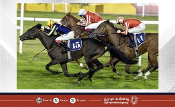 تجدد الحماس والمتعة في السباق السابع للخيل
