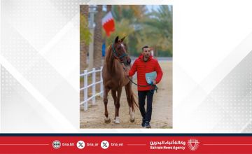 الاتحاد الملكي ينظم الفحص البيطري للجياد المشاركة في بطولة العيد الوطني للقدرة