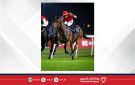 خمس مشاركات للجياد البحرينية في كأس السعودية ضمن أكبر سباقات الخيل العالمية - bh