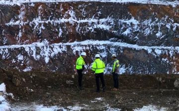  رير إيرثز أمريكاس تستهدف 368 مليون دولار في طرحها العام