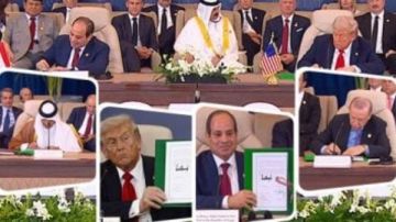 تأثير الدور المصري على مواقف ترامب وحل قضية غزة تفاصيل