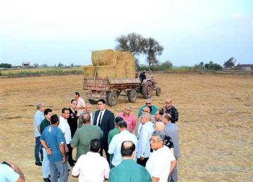 نائب محافظ الدقهلية يوجه بحماية مواقع تجميع قش الأرز من الحرائق