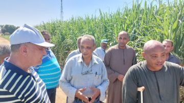 جولة تفقدية لوفد وزارة الزراعة لمتابعة جهود مكافحة الآفات بالأقصر جولة تفقدية لوفد وزارة الزراعة لمتابعة جهود مكافحة الآفات بالأقصر