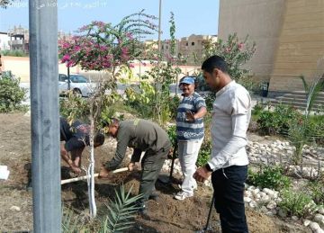  ازرع شتلتك .. مشاركة واسعة من الطلاب في مهرجان النباتات الطبية والعطرية ببني سويف