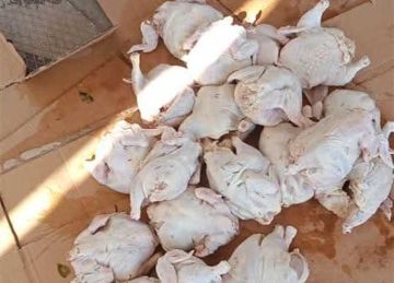 ضبط 178 كيلو لحوم غير صالحة للاستهلاك الآدمي في أسيوط