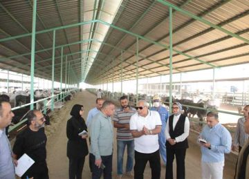 توجيهات بتكثيف الإشراف البيطري لضمان سلامة السلالات وزيادة معدلات الإنتاج الحيواني بالوادي الجديد