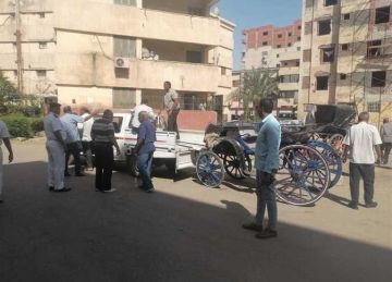 حملة لضبط عربات الحنطور المخالفة في أسوان