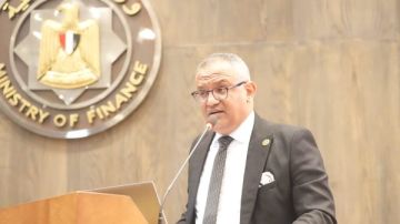 المالية: نعمل على دمج التجارة الإلكترونية بشكل أكبر لتعزيز تنوع الاقتصاد المصري