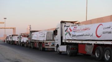 تحرك شاحنات قافلة المساعدات الانسانية من مصر الى قطاع غزة تحرك شاحنات قافلة المساعدات الانسانية من مصر الى قطاع غزة