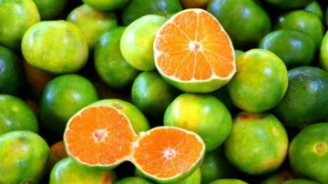 ماذا يحدث لجسمك عند تناول البرتقال الأخضر
