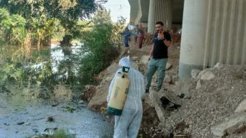 وكيل صحة المنوفية يتفقد دلهمو لمتابعة آثار الفيضان ويوجه بالتدخل لخدمة المواطنين صور وكيل صحة المنوفية يتفقد دلهمو لمتابعة آثار الفيضان ويوجه بالتدخل لخدمة المواطنين صور