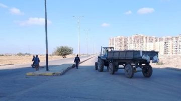 استمرار أعمال النظافة بحي غرب كفر الشيخ صور