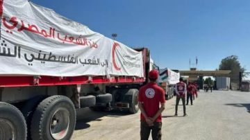 شاحنات قافلة المساعدات الإنسانية الـ45 تواصل اصطفافها تمهيدا لتحركها من مصر إلى غزة شاهد