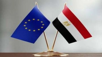 مفوضة الاتحاد الأوروبي لشؤون المتوسط: دور مصر محوري فيما يتعلق بقطاع غزة مفوضة الاتحاد الأوروبي لشؤون المتوسط: دور مصر محوري فيما يتعلق بقطاع غزة