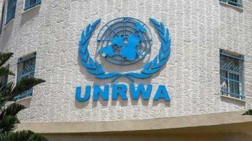 أونروا: مقتل أكثر من 370 موظفا من الوكالة في غزة منذ أكتوبر 2023 أونروا: مقتل أكثر من 370 موظفا من الوكالة في غزة منذ أكتوبر 2023