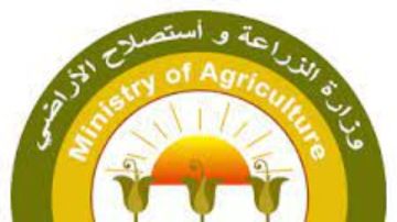 الخريف المتلون يضرب مصر.. تحذيرات للمزارعين من الأضرار علي المحاصيل الخريف المتلون يضرب مصر.. تحذيرات للمزارعين من الأضرار علي المحاصيل