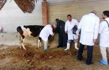 انطلاق الحملة القومية الثالثة ضد الحمى القلاعية والوادي المتصدع بالمنوفية.. غدا انطلاق الحملة القومية الثالثة ضد الحمى القلاعية والوادي المتصدع بالمنوفية.. غدا