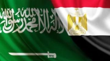 برلماني: الشراكة المصرية السعودية درع الأمة العربية وسند استقرارها الإقليمي