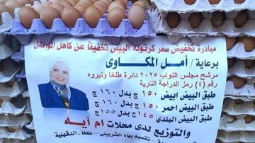 سخرية من مبادرة مرشحة لتخفيض أسعار البيض.. دعاية انتخابية أم استغلال لحاجة الناس؟