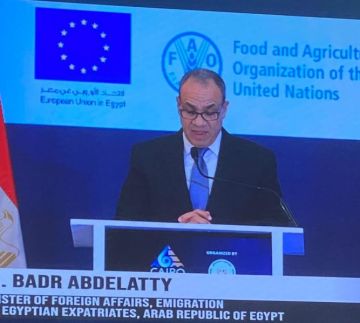 وزير الخارجية: لن نسمح بالإضرار بالشعب المصري وأمنه المائي