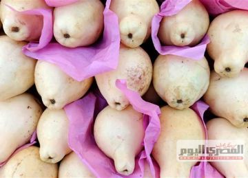 أسعار الموز (بلدي و مستود) والتفاح بالأسواق اليوم الأحد 26 أكتوبر 2025